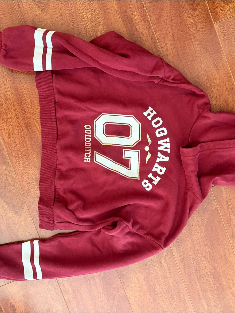 H&M Burgundy Cozy Pullover Hoodie